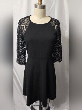 Black Dress with Beautiful Eyelash Lace Sleeves, Size 6 Petite, New with Tags